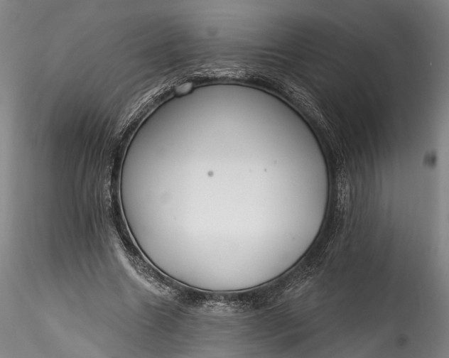 X0000115770538200911271143