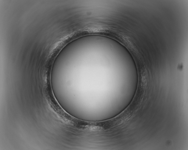 X0000115770539200911271143