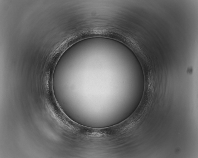 X0000115770542200911271143