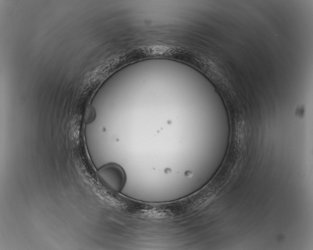 X0000115770545200911271143