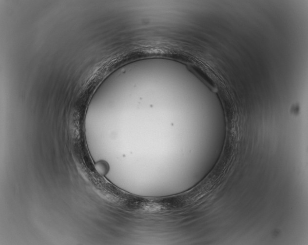 X0000115770547200911271143