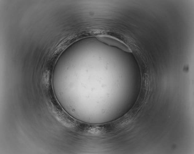 X0000115770550200911271143