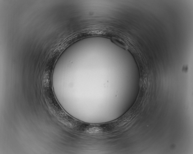 X0000115770551200911271143