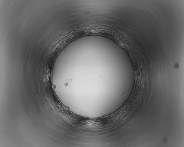 X0000115770555200911271143