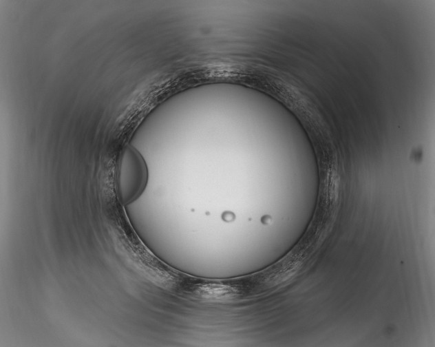 X0000115770557200911271143