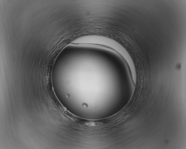 X0000115770558200911271143