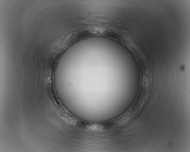 X0000115770561200911271143