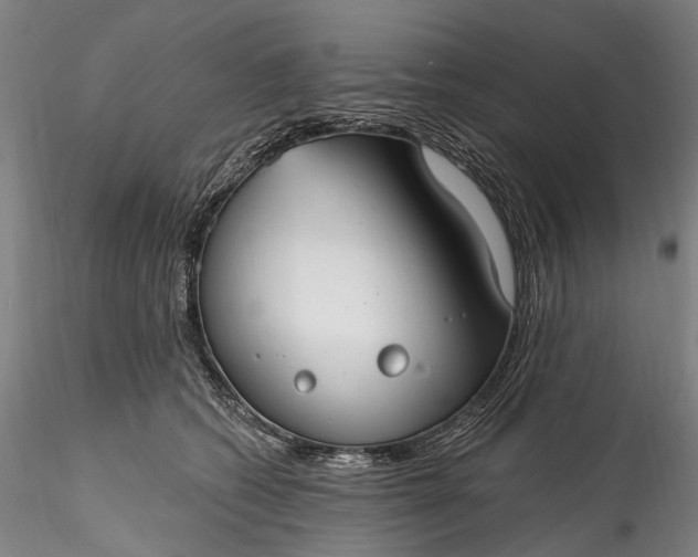 X0000115770562200911271143