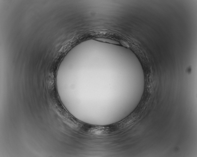 X0000115770563200911271143