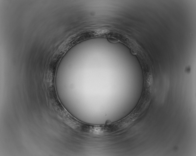 X0000115770565200911271143