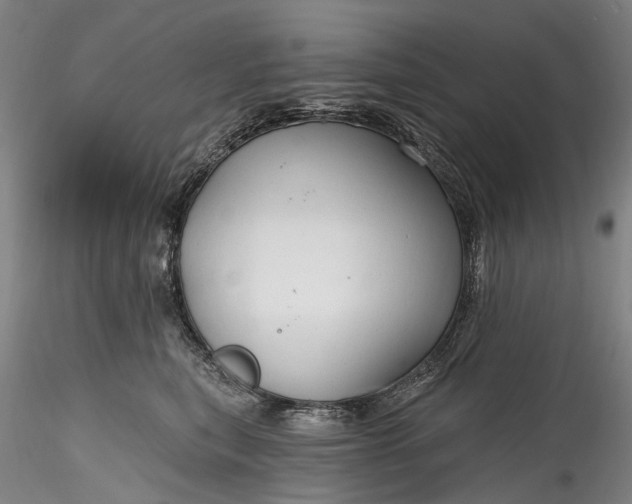 X0000115770567200911271143