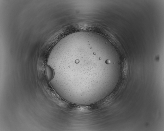 X0000115770569200911271143