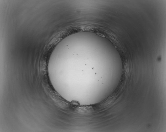 X0000115770571200911271143