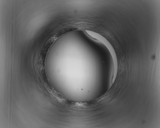 X0000115770573200911271144