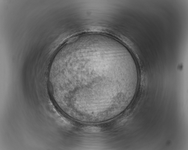 X0000115770577200911271143