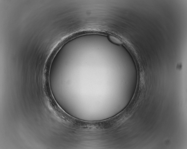 X0000115770580200911271143