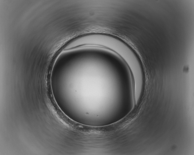 X0000115770581200911271143