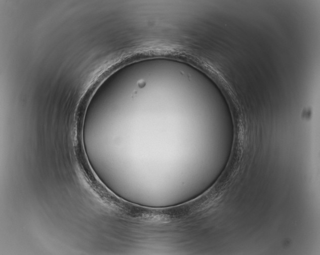 X0000115770582200911271143