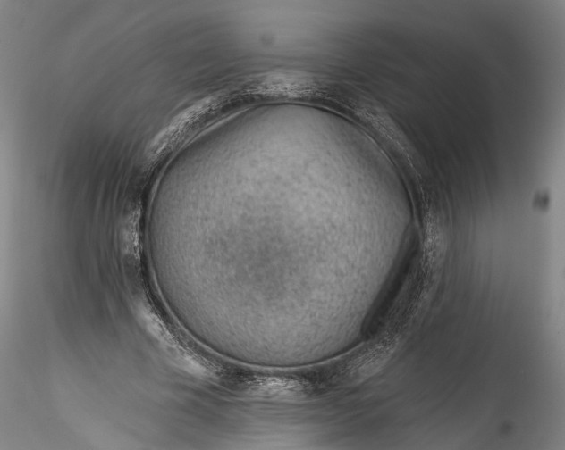 X0000115770585200911271143