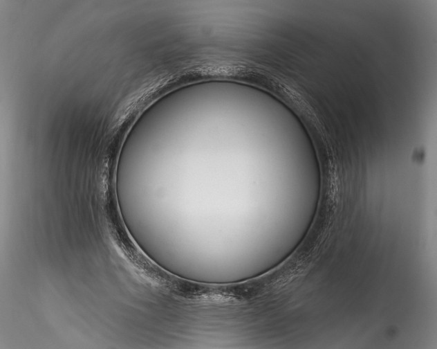 X0000115770586200911271143