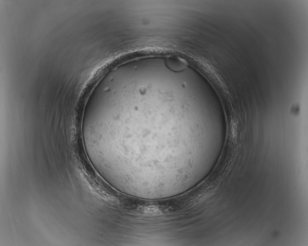 X0000115770588200911271143