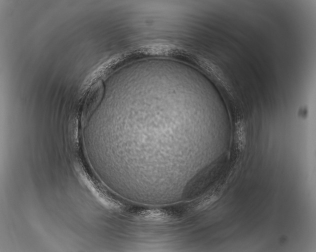 X0000115770589200911271143