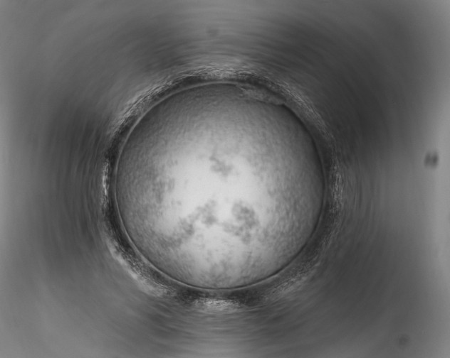 X0000115770590200911271143