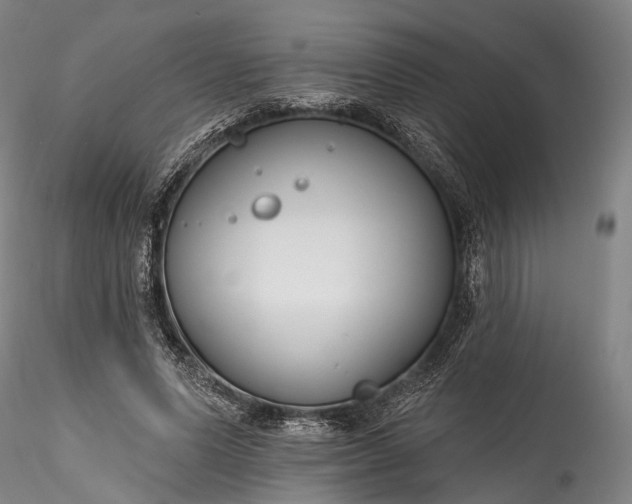 X0000115770591200911271143