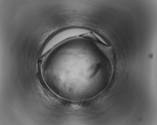 X0000115770592200911271143