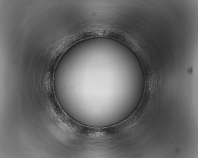 X0000115770594200911271142