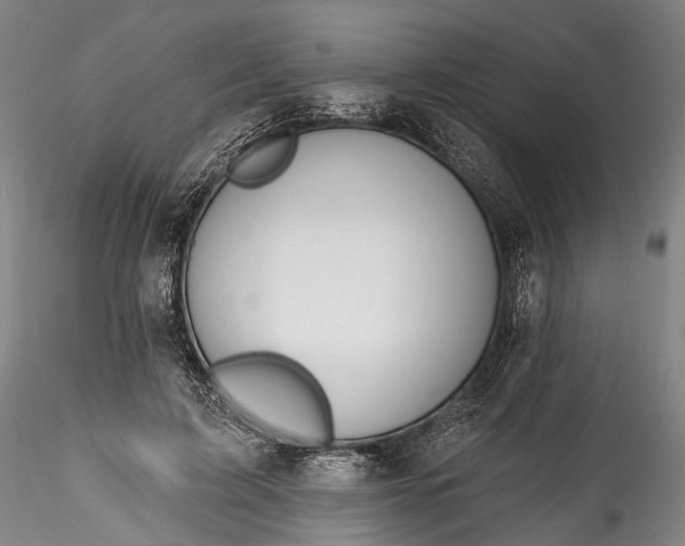 X0000115770595200911271142