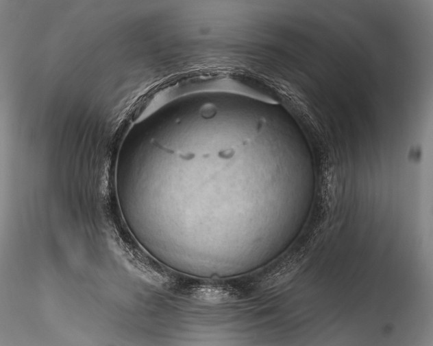 X0000115770596200911271142