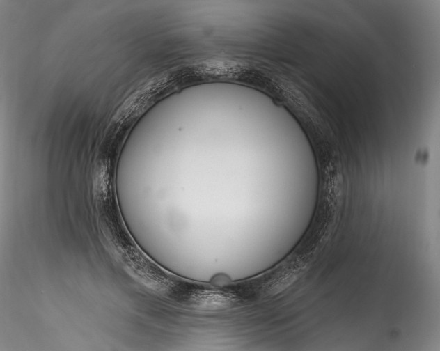 X0000115770597200911271142