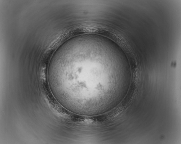 X0000115770598200911271142