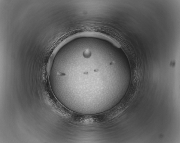 X0000115770600200911271142