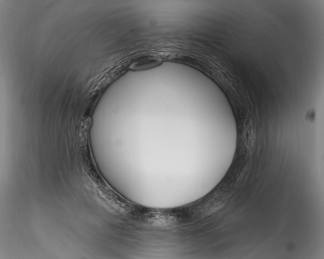 X0000115770601200911271142