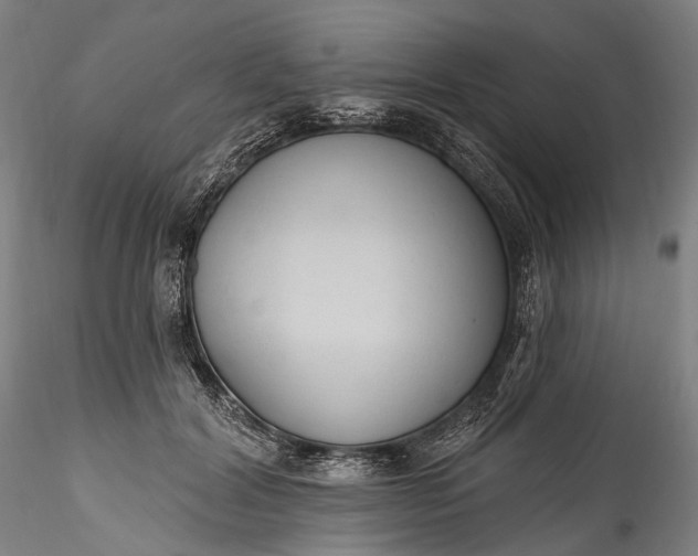 X0000115770604200911271142