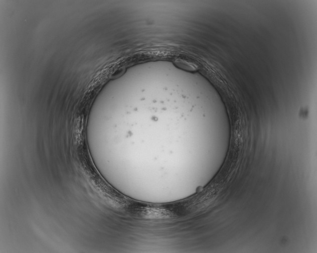 X0000115770605200911271142