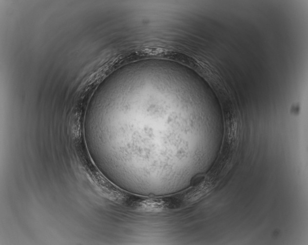 X0000115770606200911271142