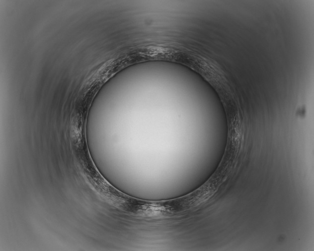 X0000115770607200911271142