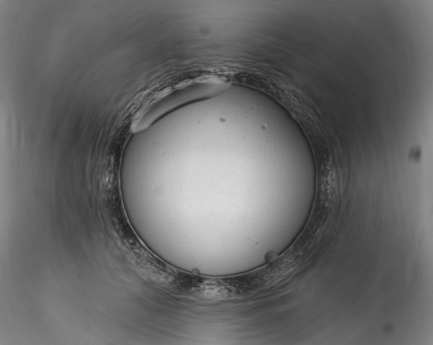 X0000115770608200911271142