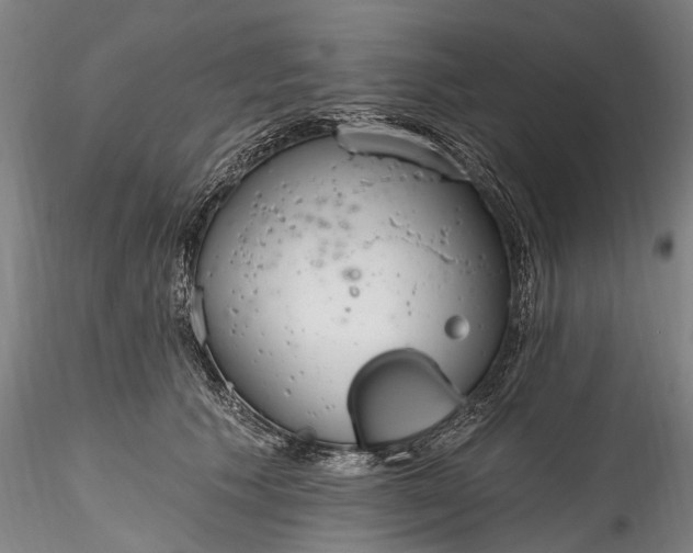 X0000115770609200911271142