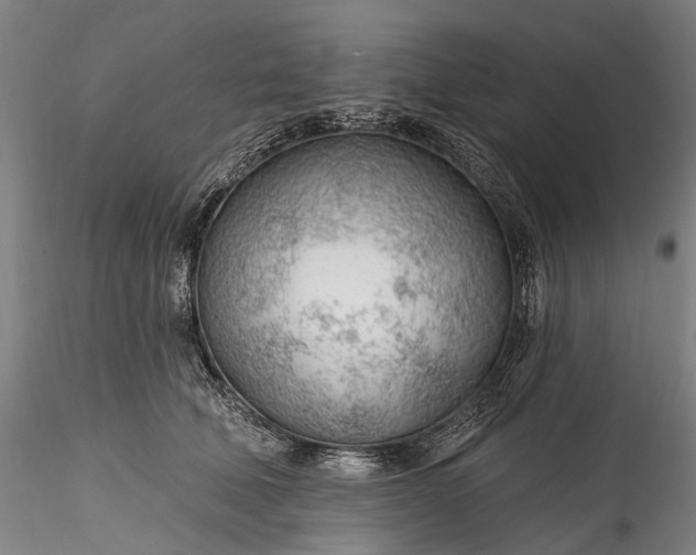 X0000115770610200911271142