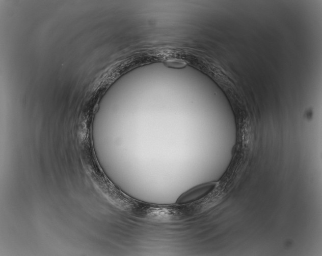 X0000115770611200911271142