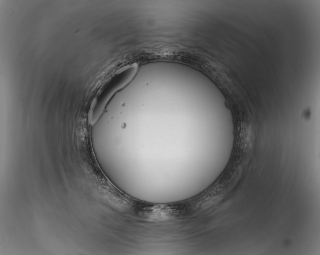 X0000115770612200911271142