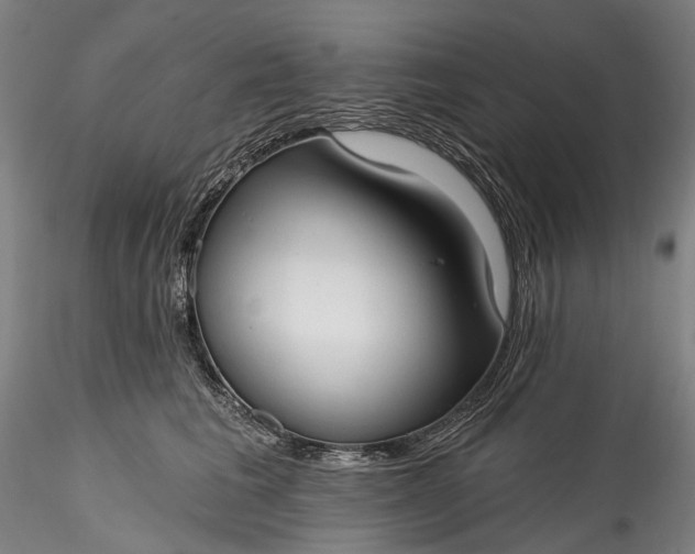 X0000115770613200911271142