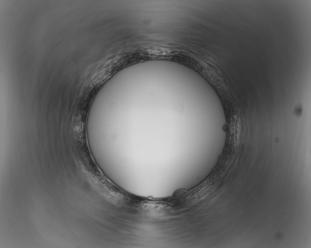 X0000115770614200911271142