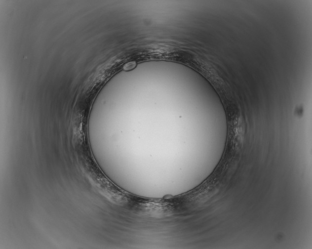 X0000115770615200911271142