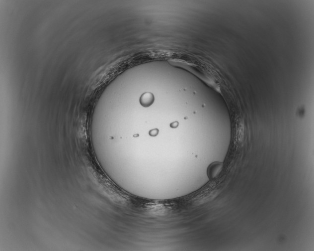 X0000115770616200911271142