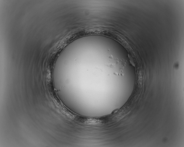 X0000115770617200911271142